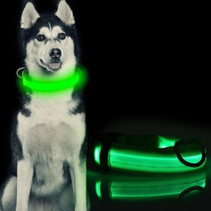 Halsband Hund Nylon LED i olika storlekar katt