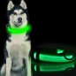 Halsband Hund Nylon LED i olika storlekar katt hundkoppel koppel Halsband Hund Nylon LED i olika storlekar katt hundkoppel koppel
