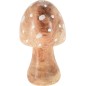 Svamp Grön Brun Beige Dekoration Trä 9x15 cm Svamp Grön Brun Beige Dekoration Trä 9x15 cm