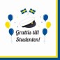 Servetter Student 33x33cm 20-pack