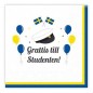 Servetter Student 33x33cm 20-pack