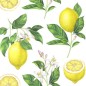 Servetter Citroner 33x33cm 20-pack Servetter Citroner 33x33cm 20-pack