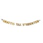 Studentpaket Vit/Guld Tallrikar Servetter Muggar Girlang Student Studentpaket Vit/Guld Tallrikar Servetter Muggar Girlang Student