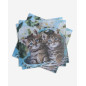 Servetter Kattungar 33x33cm 20-pack