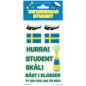 Tatuering Student Tillfällig Tatuering Student Tillfällig