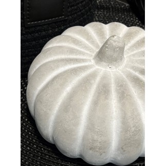 Pumpa Grå Cement 15 cm