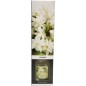 Doftpinnar Jasmine 100 ml